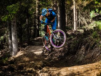 Singletrail Wiesenalm | © Zillertal Arena / Johannes Sautner Singletrail Wiesenalm | © Zillertal Arena / Johannes Sautner